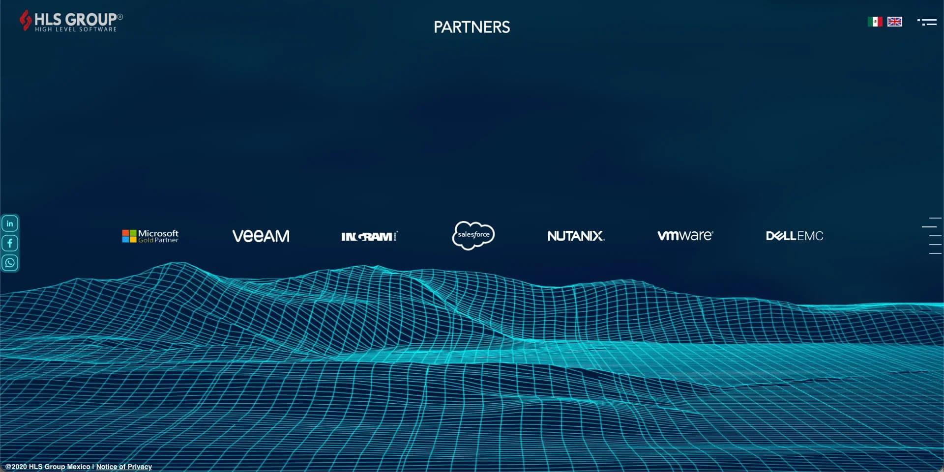 HLS Group partners section with technology vendor logos over a wireframe landscape